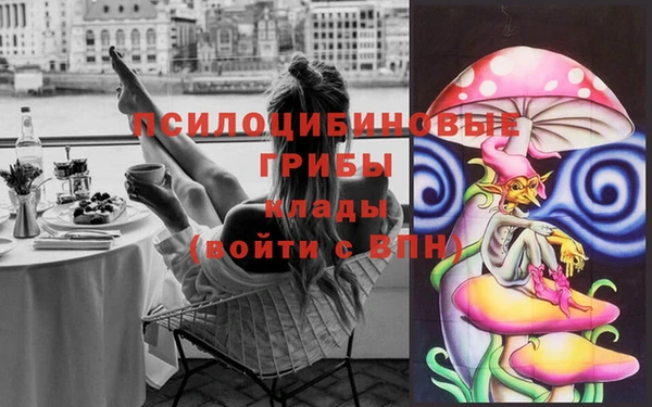 твердый Богданович