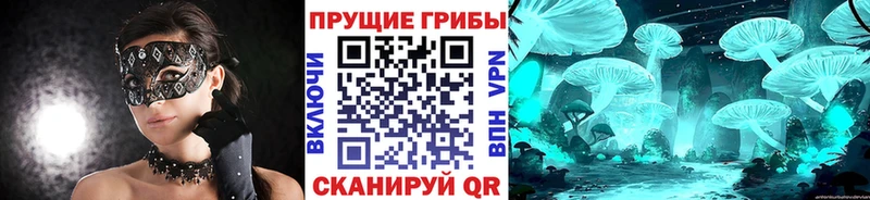 где найти наркотики Наволоки Галлюциногенные грибы GOLDEN TEACHER
