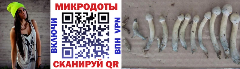 Галлюциногенные грибы MAGIC MUSHROOMS Наволоки